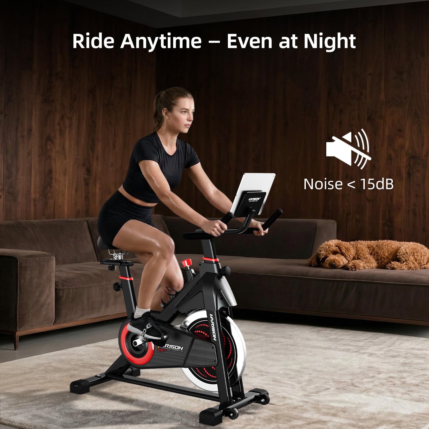 HARISON Exercise Bike for Home, Magnetic Indoor Cycling Bike with Quiet Belt Drive, 380 lb Capacity Spin Bike, Adjustable Resistance Stationary Bike for Cardio Workout & Weight Loss