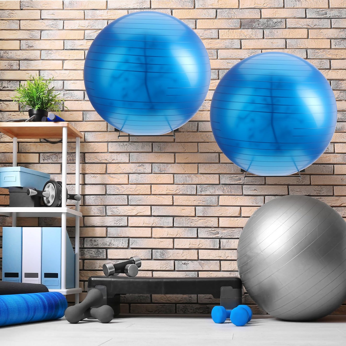 Threan 2 Pack Metal Medicine Ball Rack Wall Mounted 16.6'' Large Yoga Storage Ball Rack Thickened Black Sport Exercise Equipment Holder for Home Gyms Studios Space