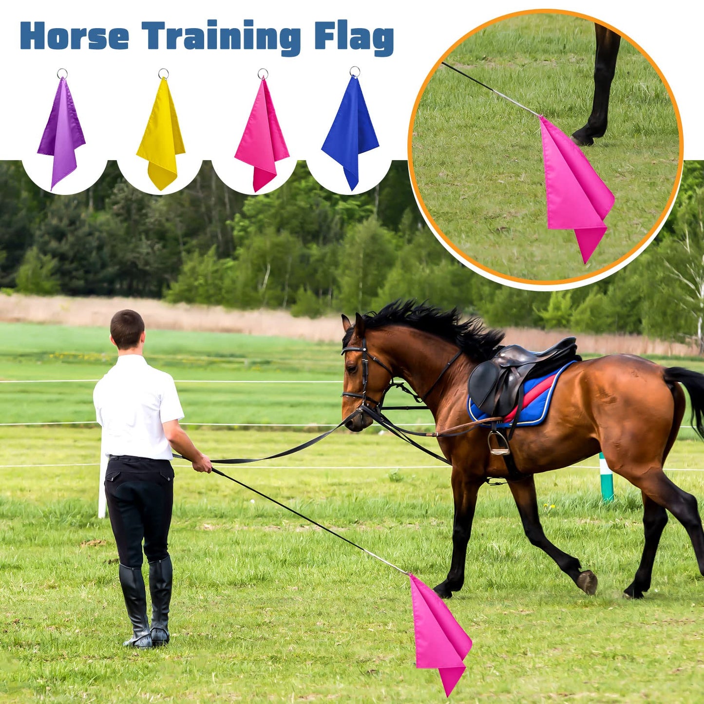 Equestrian Training Flag 4 Pieces Equestrian Training Equipment Nylon Flag with Flagpole(Yellow, Pink, Purple, Dark Blue)