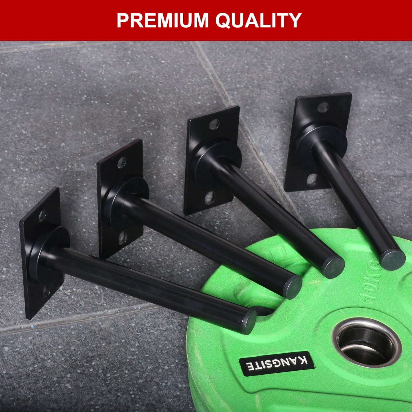 SYL Fitness Wall Mounted Weight Plate Holder, Wall Weight Storage Rack - Fit 1" Weight Plates (Weight Holder for 1" Plates)