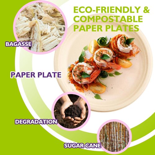 Compostable Paper Plates by Eco-Choice - 9 Inch Heavy Duty, Biodegradable & Unbleached, 125 Pack for Parties & Picnics