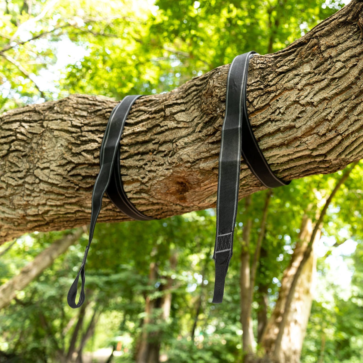 Squirrel Products Two Nylon Tree Swing Hanger Straps - 15ft Each