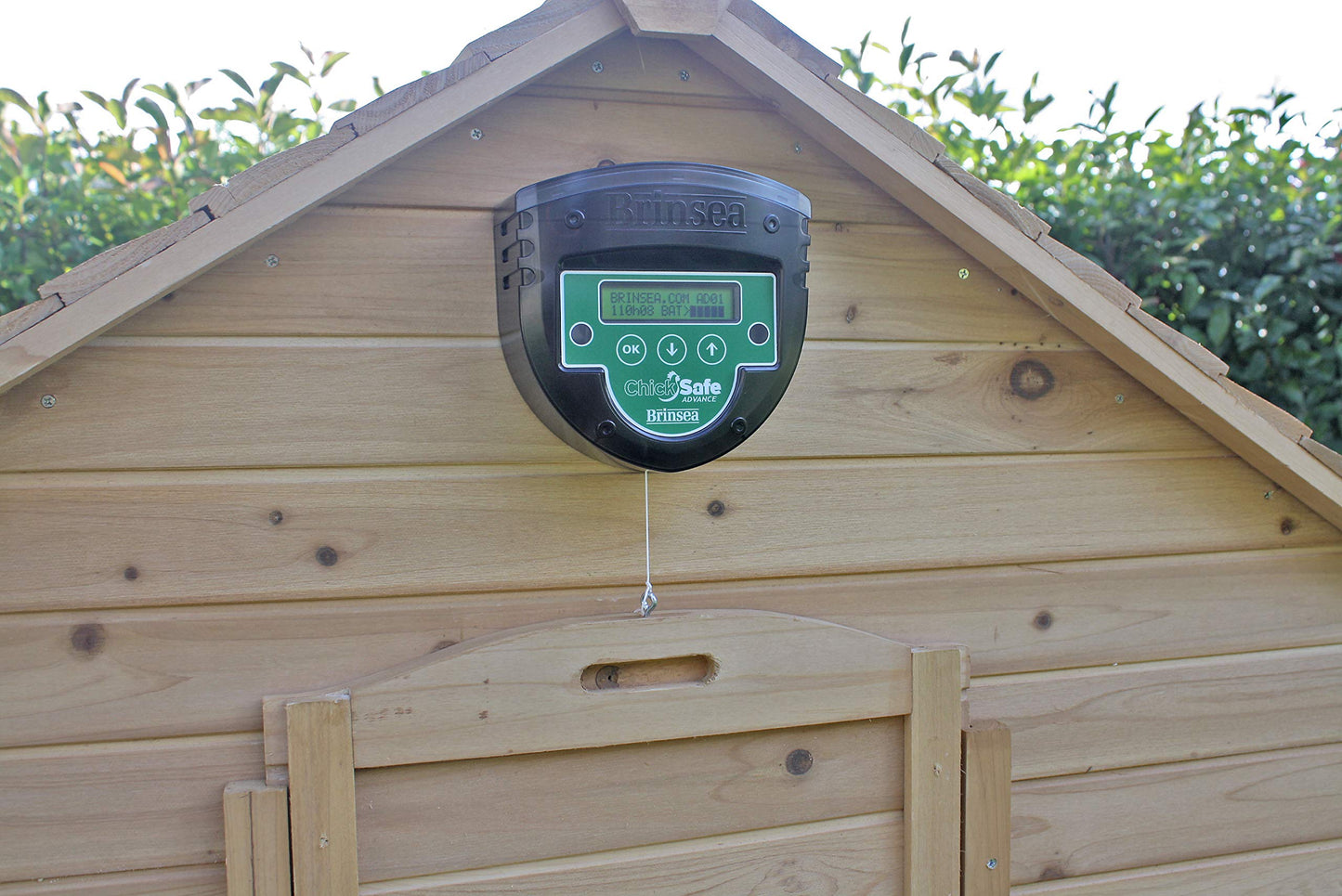 Brinsea ChickSafe Advance Automatic Chicken Coop Door Opener for Vertical Sliding or Hinged Hen House Doors with Programmable Timer, Digital Display, 8 lb. Lift Capacity