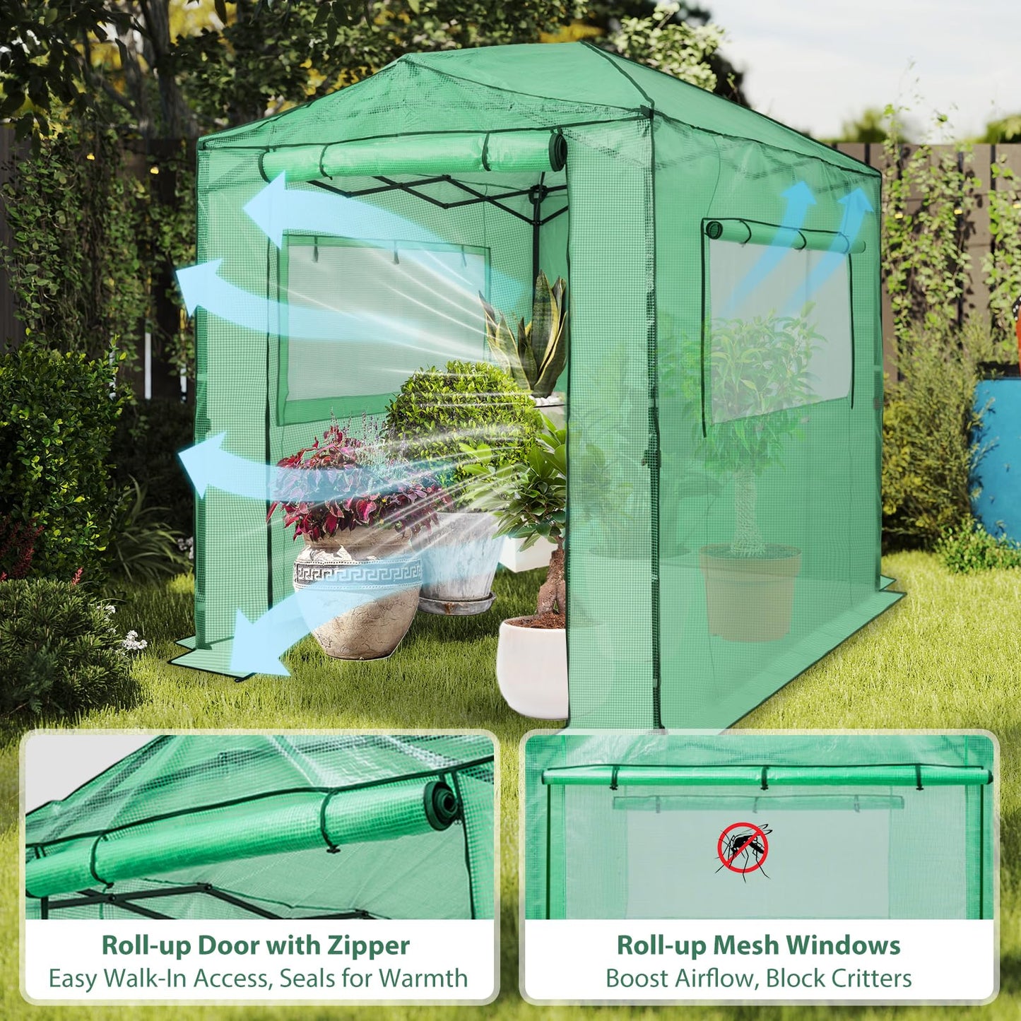 EAGLE PEAK 8x6 Portable Walk in Greenhouse, Pop Up Indoor Outdoor Greenhouse, Green House Kit with Zippered Roll-Up Doors and Windows, PE Cover, Clear/Green