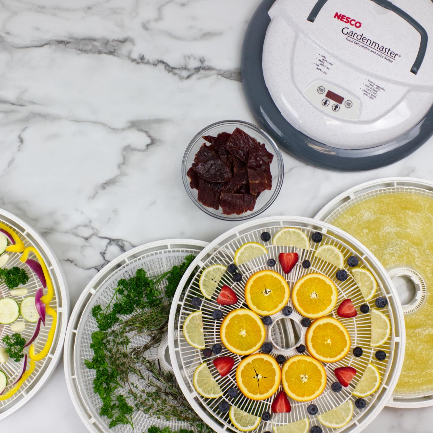 NESCO FD‑1040 Gardenmaster Digital Pro 4 Tray Food Dehydrator for Home Food Preservation, White Electric Dehydrator with Expandable Tray Capacity