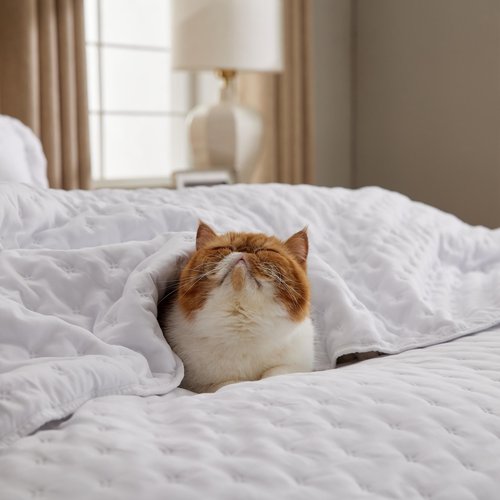 Bedsure King Quilt - Bright White Bedspread King Size & Lightweight Comforter, Modern Coverlet with Clover Pattern, Ultra Soft All-Season Bedding, 106 x 96 Inches