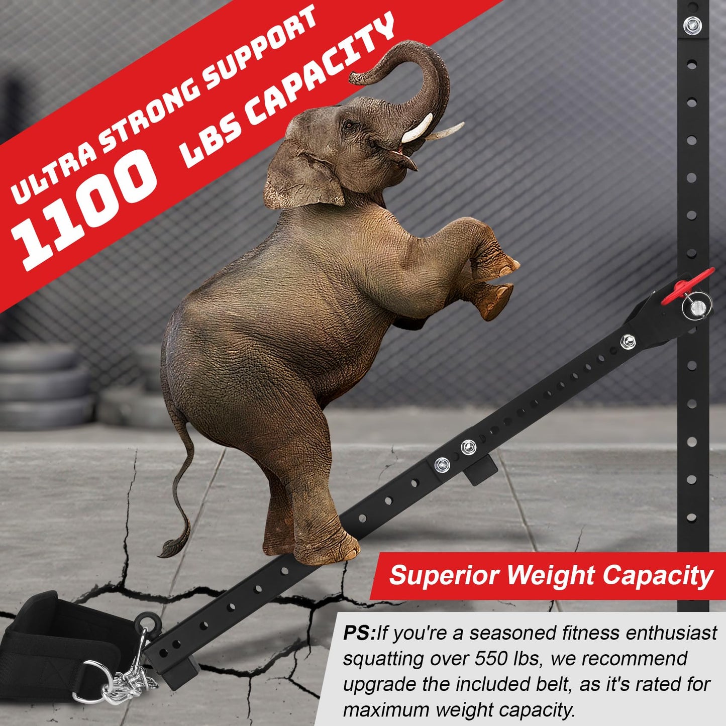 Betollo Belt Squat Attachment, 1100 lbs Weight Capacity, Fit All Racks-Universal Belt Squat System, Adjustable Length, No Assembly Required - Best Choice for Squat, Belt Included