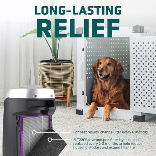 GermGuardian HEPA Air Purifier Filter B - Removes 99.97% of Pollutants | 2-Pack, Black/Purple