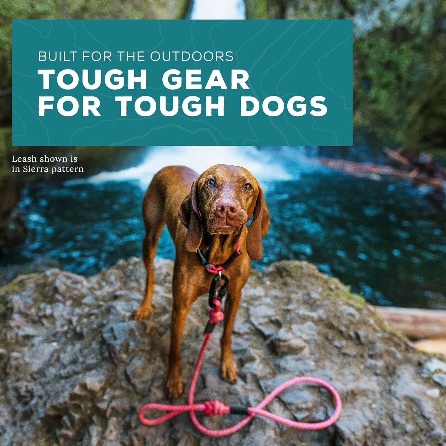 Wilderdog Climbing Rope Small Carabiner Dog Leash - Cascade - 5 ft