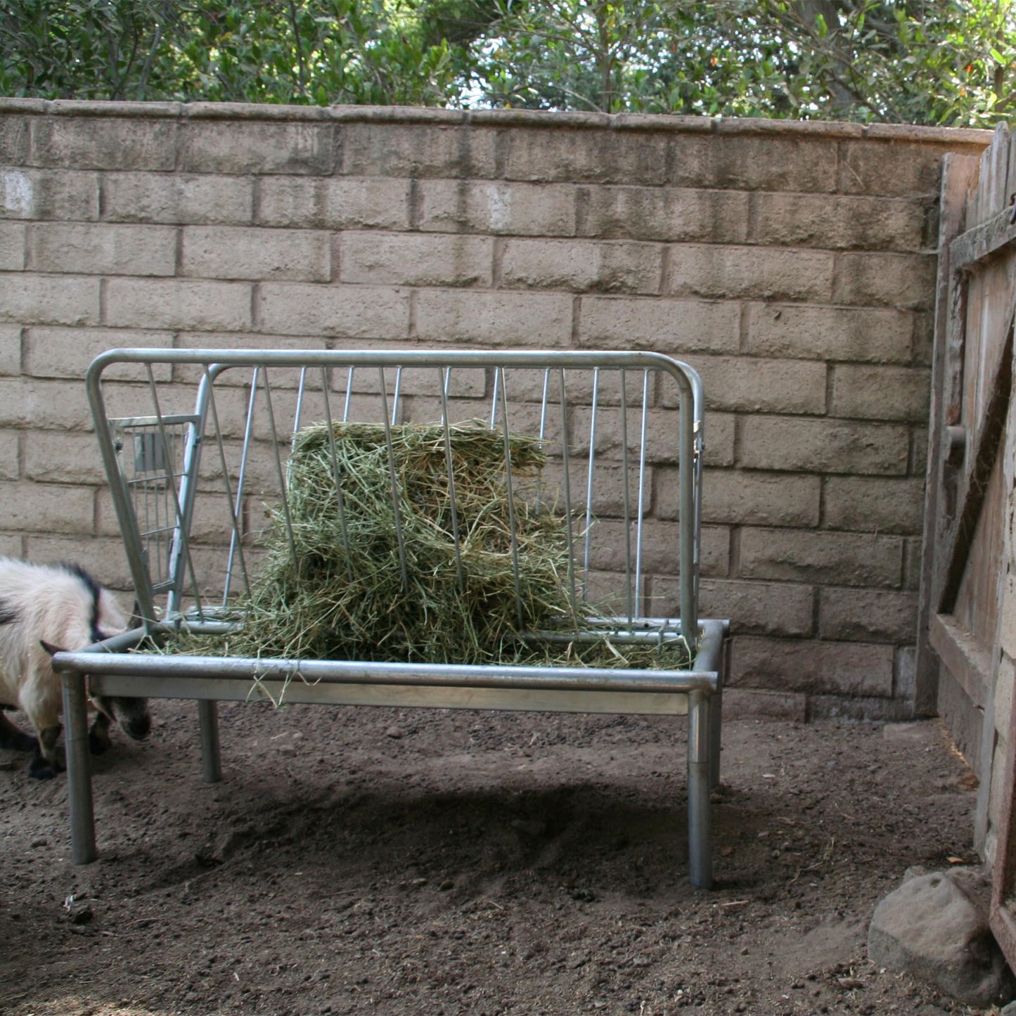 Rugged Ranch Products 4 Foot Long Outdoor Heavy Duty Mini Galvanized Steel Pasture Hay Feeder for Goats, Sheep, and Miniature Horses, Silver