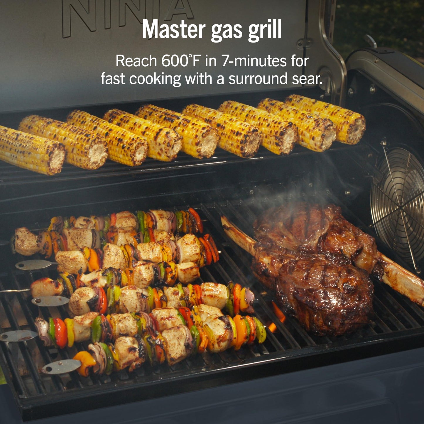 Ninja FlexFlame Grill and Smoker | Electric and Propane Grill, Roaster, BBQ Grill | 5-in-1 Cooking System | 3 Burner | Digital Control | Outdoor Cooking, Griddle, Pizza Maker | Blue | PG301BL