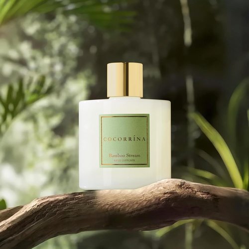 Cocorrína Reed Diffuser - Bamboo Stream Scented Home Fragrance with 8 Sticks | Elegant Bathroom Decor