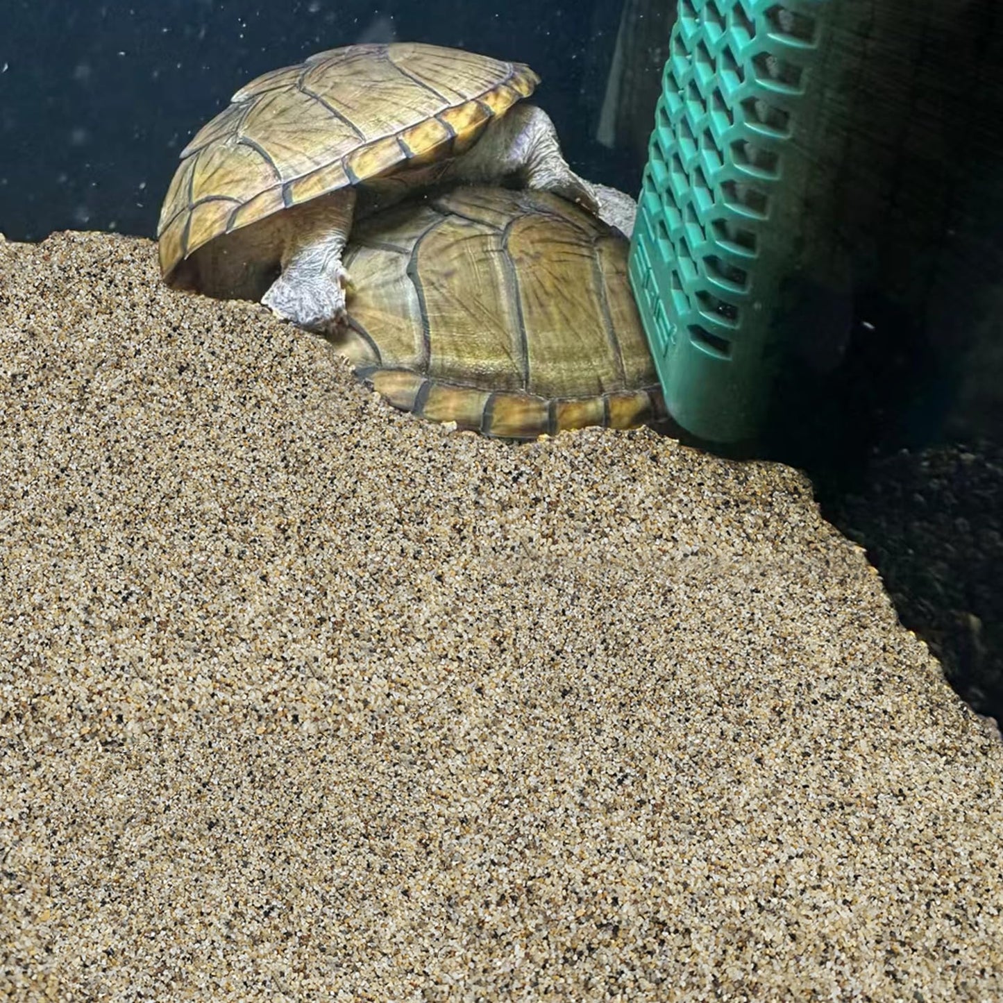 FANTIAN 40 lbs Aquarium Sand. 1/16 Inch Fish Tank Coarse Sand Pea Gravel for Aquarium, Terrariums, Vase Filler, Plant, Soil Drainage and Outdoor Gardens, Landscaping