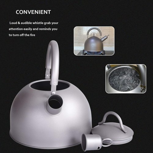 iBasingo 2 L Titanium Whistling Tea Kettle for Gas Stove Ultralight Water Jug Outdoor Big Capacity Teapot Water Bottle with Folding Handle and Warning Buzzer for Camping Home Kitchen Ti3097D