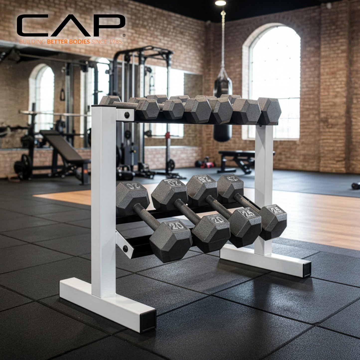 CAP White 24-Inch Dumbbell Storage Rack for Home Gym, 2-Tier Heavy-Duty Steel Weight Rack for Hex Dumbbells, Holds 5lb - 25lb Pairs