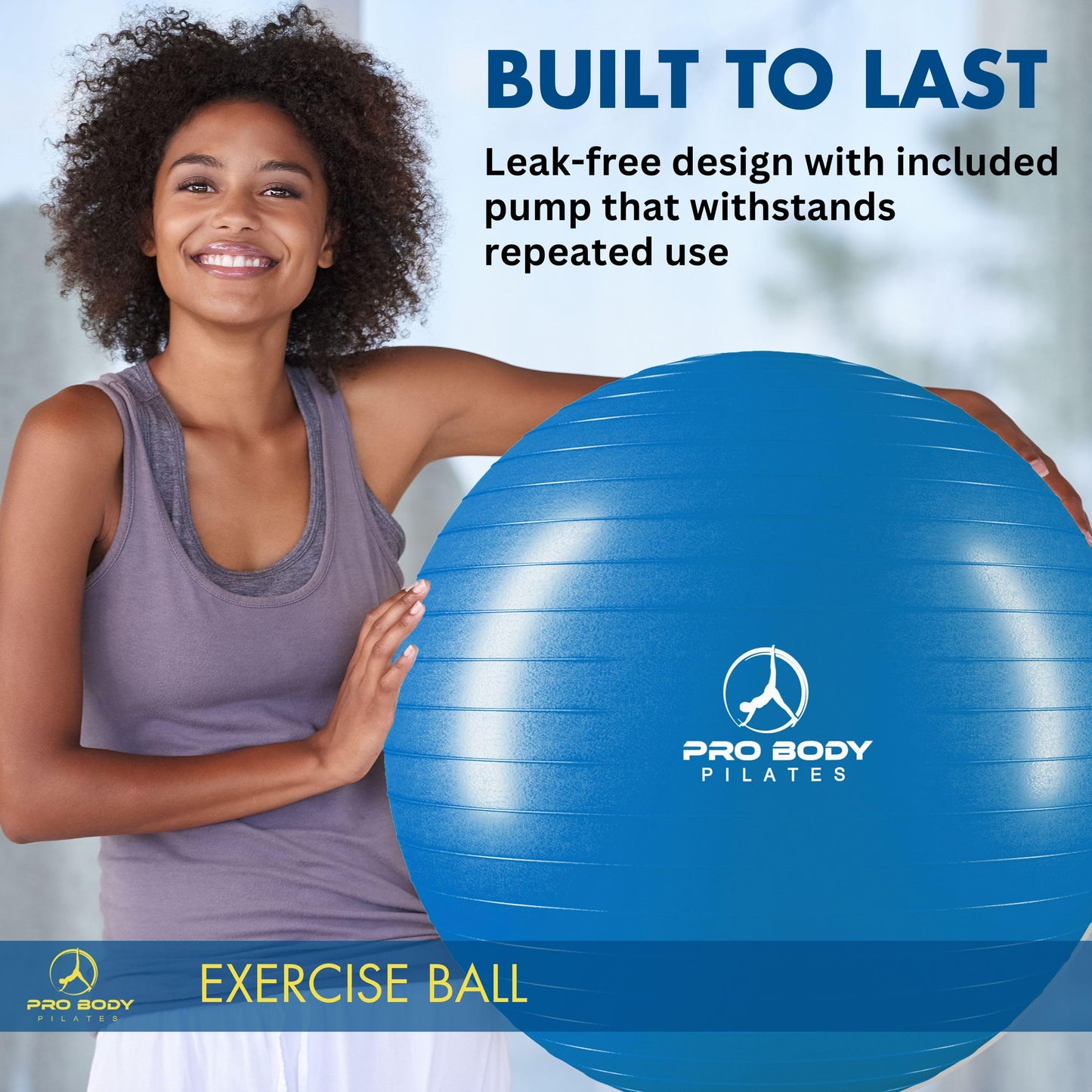 ProBody Pilates Exercise Ball - Multiple Sizes Gym Grade Balance Ball for Fitness, Workout, Pregnancy & Physical Therapy, Stability Yoga Ball Chair (Blue, 65cm)