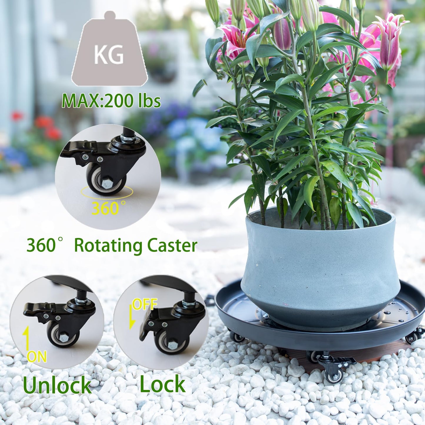 Goooxim 20-Inch Heavy-Duty Plant Dolly with Locking Wheels – Large Rolling Planter Base for Indoor/Outdoor Use, 200 lb Capacity, Durable Steel Construction & Waterproof Tray