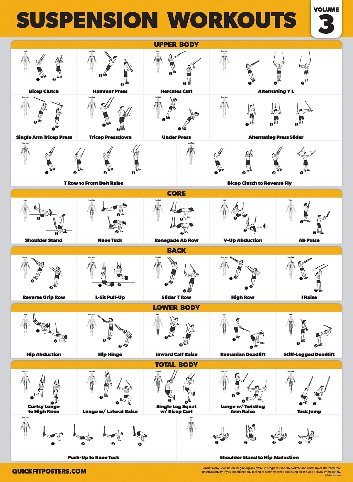 Palace Learning 3 Pack Suspension Workout Posters - Volume 1, 2 & 3 - Exercise Charts (LAMINATED, 18" x 24")