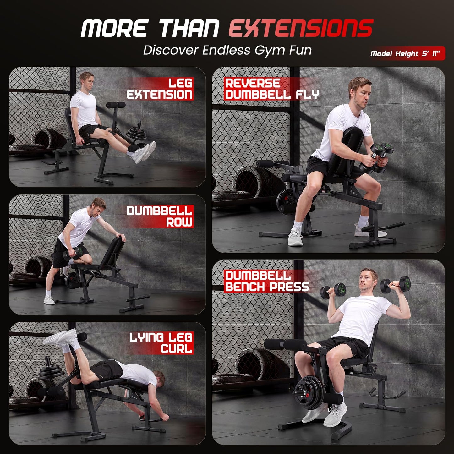 ANCHEER Leg Extension and Curl Machine, 880LBS Adjustable Leg Curl Machine, Seated Leg Extension and Lying Curl Machine for Home Gym, Leg Workout Equipment Compatible with 1" and 2" Plates