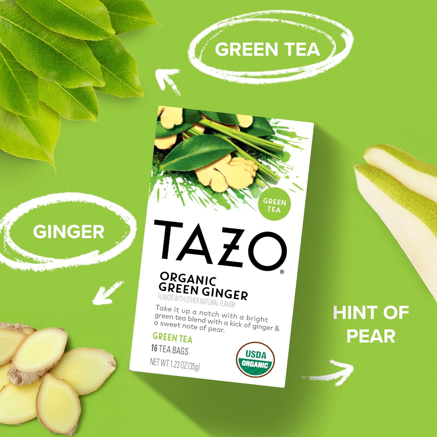 TAZO Organic Green Tea, Green Ginger, 96 Total Tea Bags (16ct - Pack of 6)