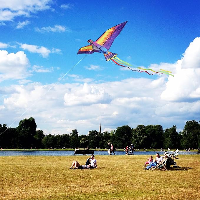 Mint’s Colorful Life Large Kite for Kids and Adults, Easy to Fly Single Line Beach Kites, Comes with 300ft String Handle