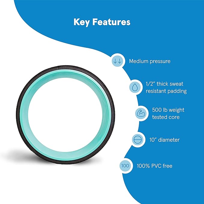 Chirp Wheel Foam Roller ??Targeted Back & Neck Relief, Lumbar Spine Stretcher, Spinal Decompression Back Stretcher, Massage Roller with Density Foam for Physical Therapy, Supports 500lbs, 10-Inch Mint