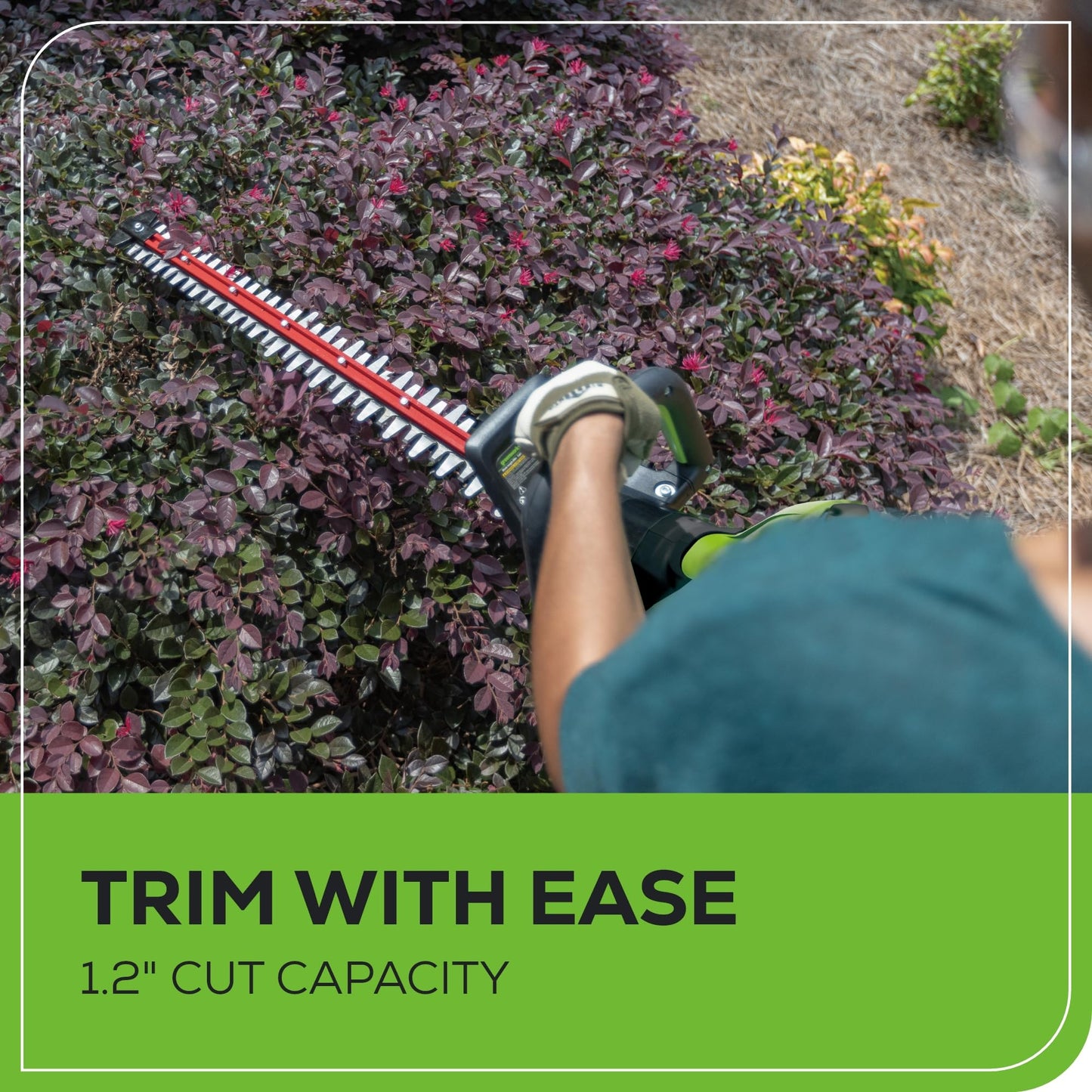 Greenworks 80V 26" Brushless Hedge Trimmer with 2.0Ah Battery and 2A Charger