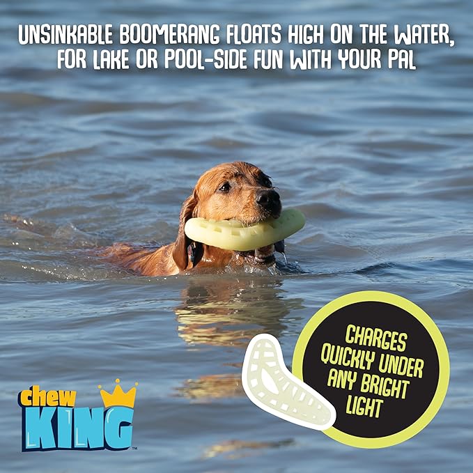 Chew King Large Glow Boomerang