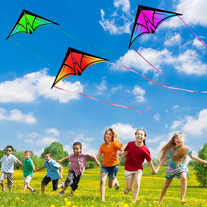 Large Delta Kite for Kids & Adults - Easy to Fly Outdoor Kites for Kids Ages 8-10, Perfect for Beach & Family Activities, Includes Line & Handle