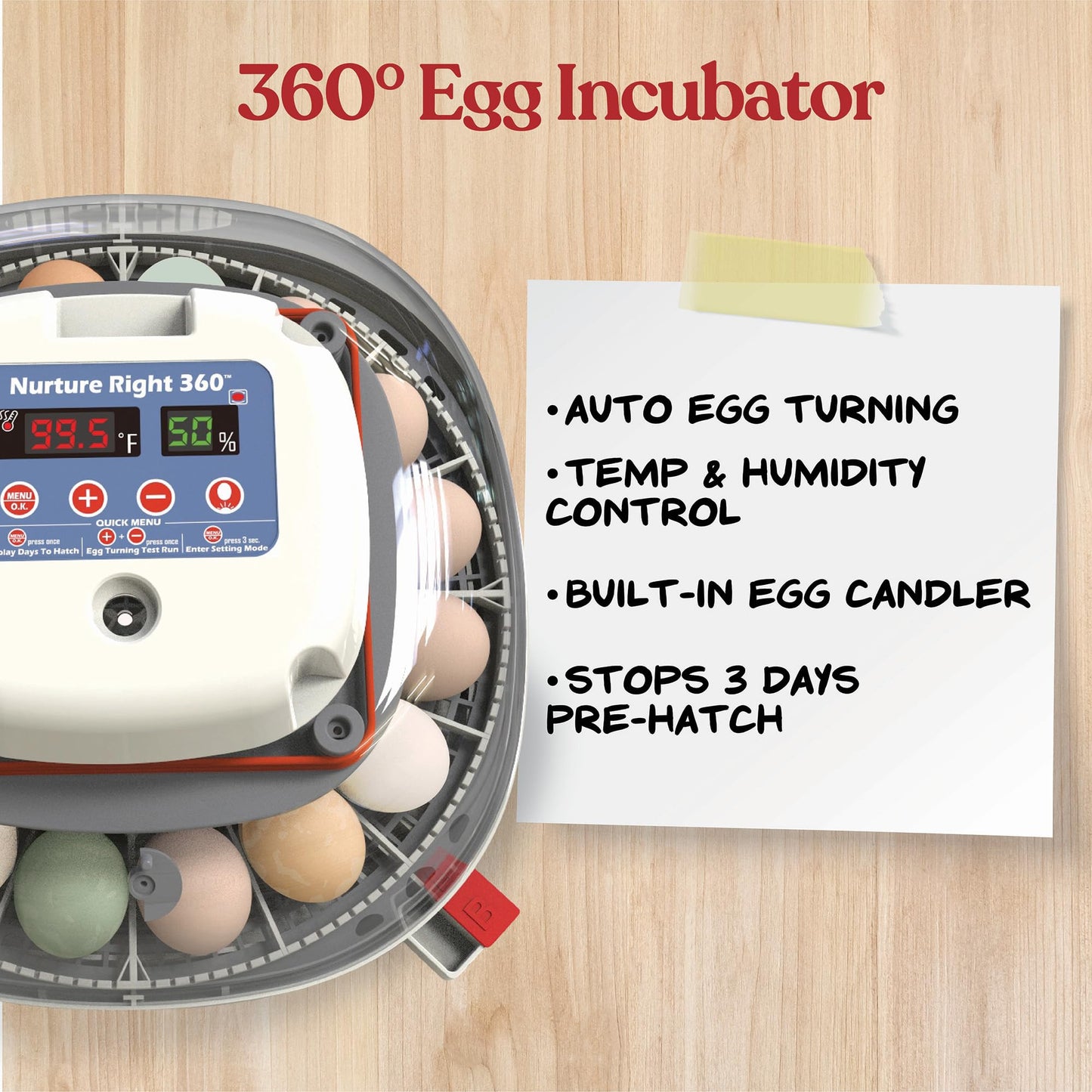 Harris Farms Nurture Right Egg Incubator for Hatching Chicks, Holds 12-22 Eggs, Automatic Turner with Temperature and Humidity Control, 360 Degree View with Clear Window, Incubator for Hatching Eggs
