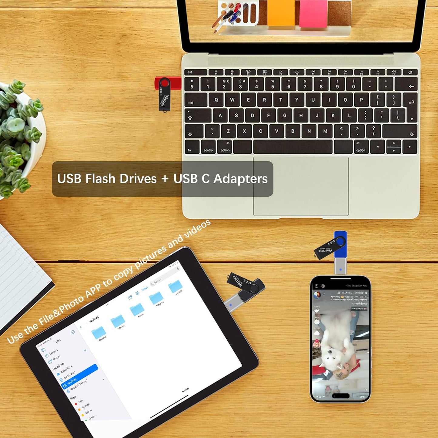 WesData 10 Pack 4GB 2 (10 Flash Drives with USB C Adapters, Thumb Drive, Memory Stick Compatible with PC, Laptops, Mac