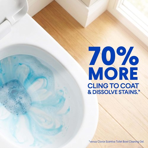 Clorox Toilet Bowl Cleaner - Heavy-Duty Stain & Ring Remover | Arctic Clean, 24 Fl Oz, Pack of 2