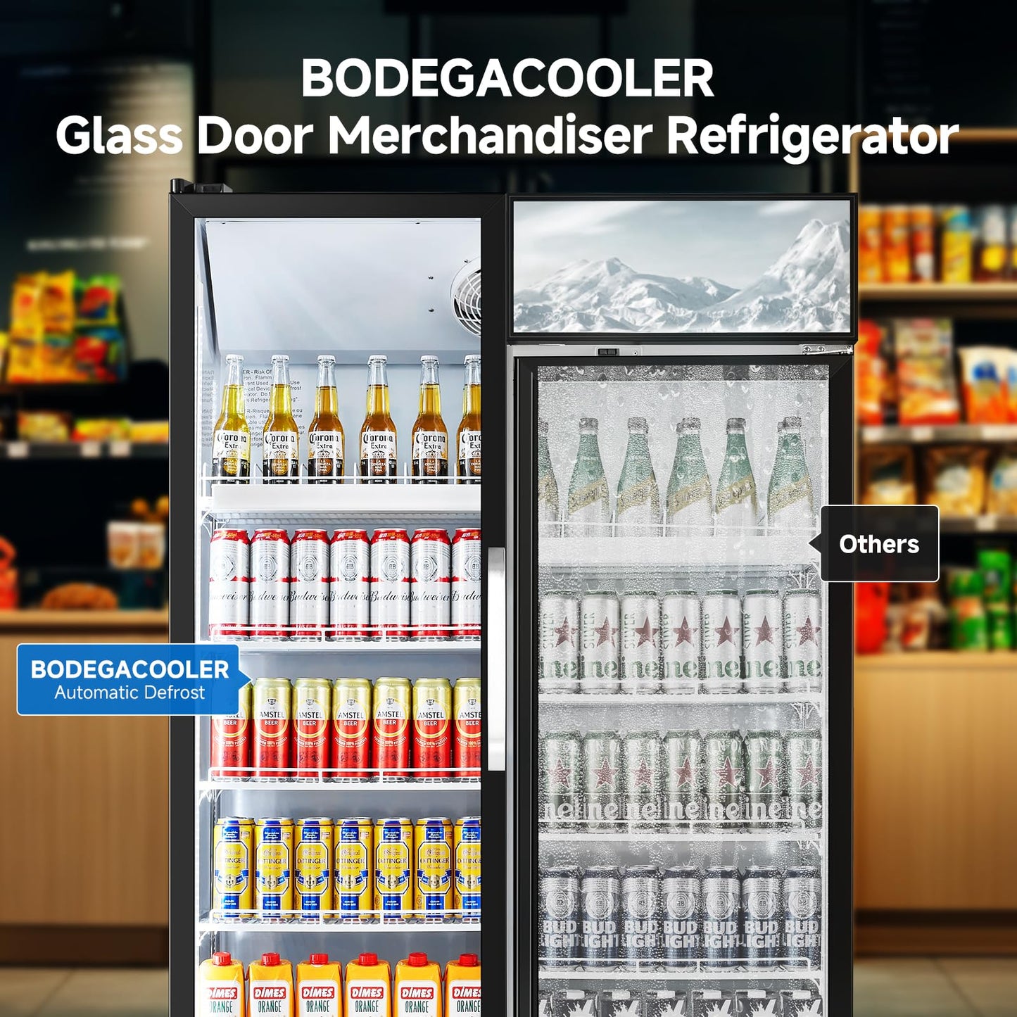BODEGACOOLER Commercial Merchandiser Refrigerator, 27.02 Cu.Ft Double Glass Door Beverage Cooler, Upright Display Refrigerator with Soft LED Light, Adjustable Shelves, 4 Heavy-Duty Casters, Black