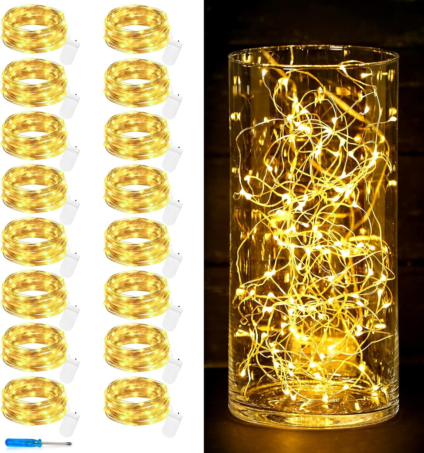 Skiennix 30 LED Fairy Lights - 10 Ft Waterproof Silver Wire String Lights for Weddings & Crafts | Warm White