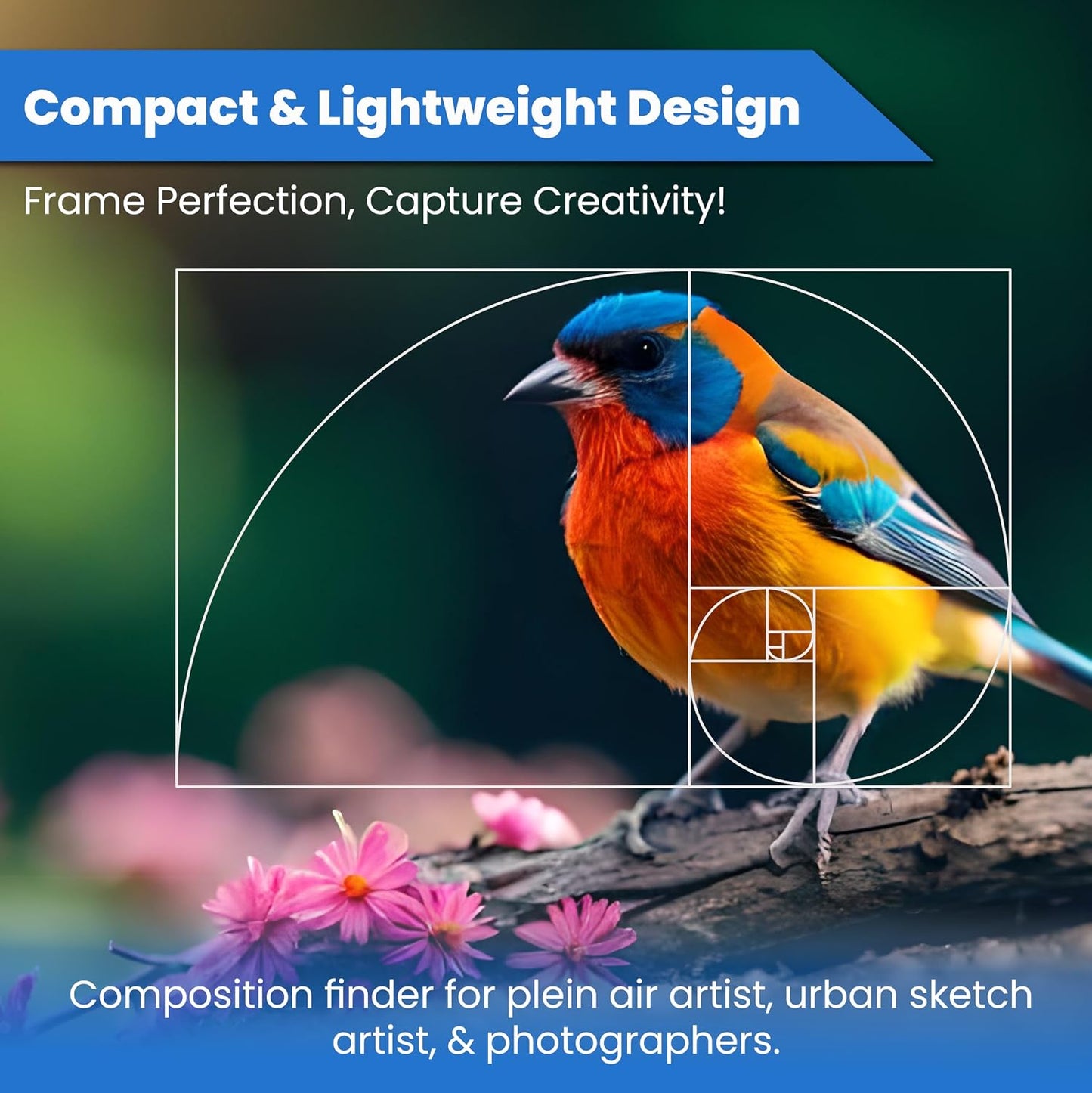 Fibonacci View Finder for Artists & Photographers - Golden Ratio Viewer - Fibonacci Composition View Finder |