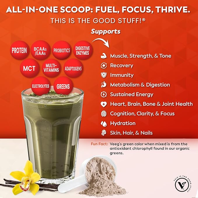 Veeg All-in-One Protein Smoothie Powder - Plant Based Protein Powder, Superfoods, Organic Greens, MCT Powder, Probiotics, Multivitamins for Men & Women, Sugar-Free, 15 Servings (Vanilla)