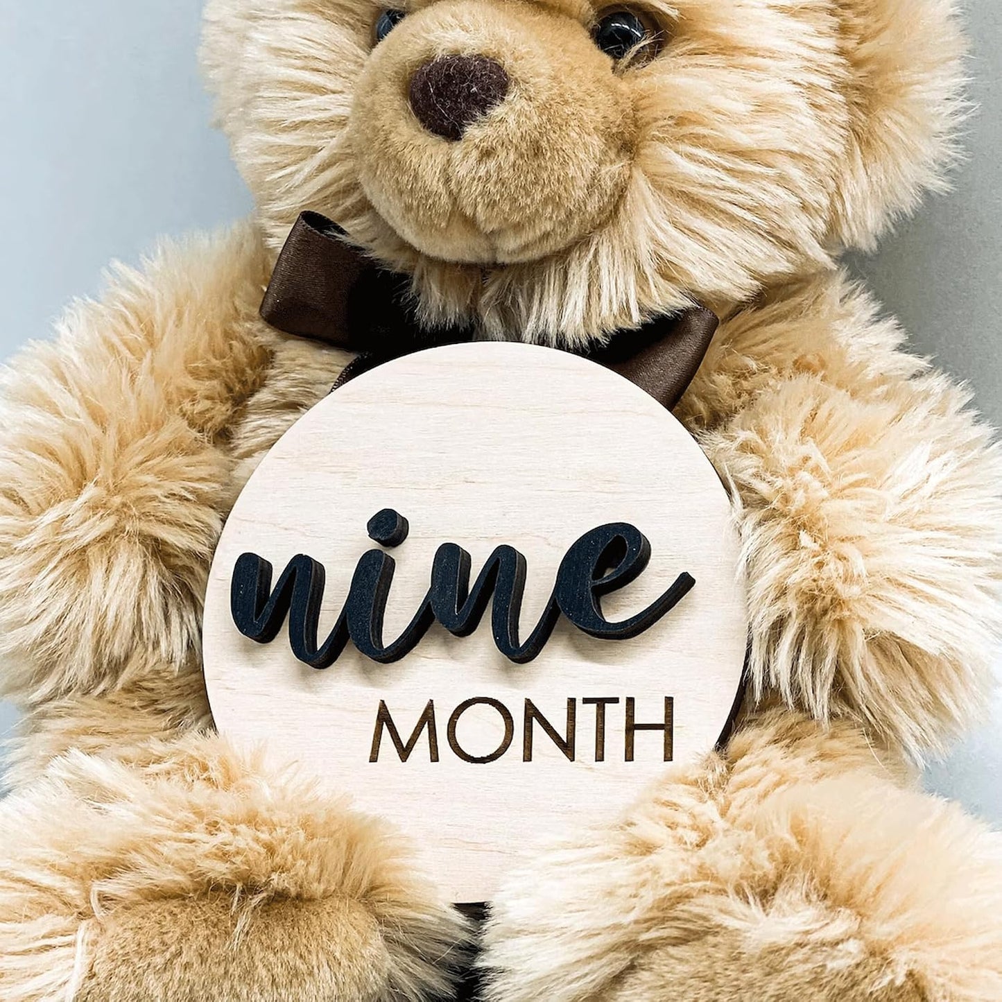 (S001) Baby Monthly Milestone, Wooden Baby Milestone Signs, Monthly Milestone Wood Discs, Baby Milestone Discs