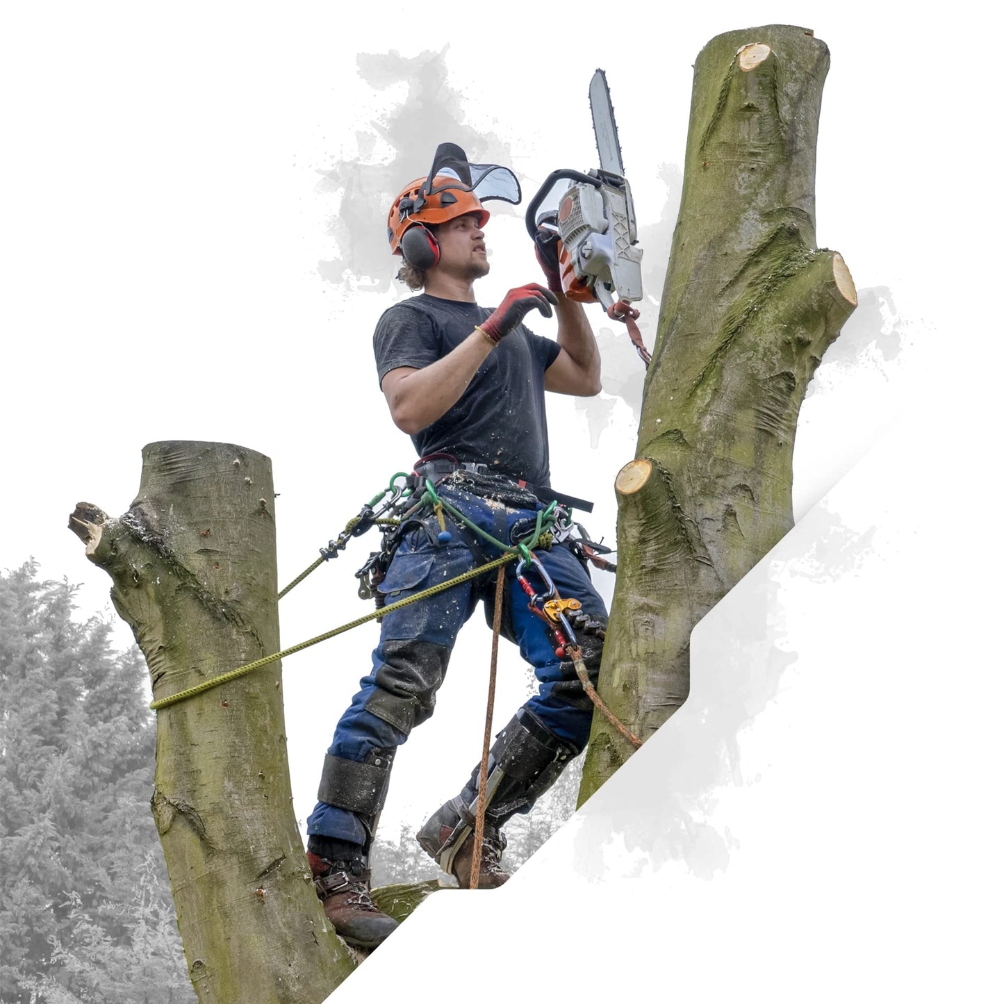 Pelican Rope 24-Strand 7/16 in (11 mm), USA Made Arborist Rope - 7,000 lb MBS - Static Climbing Rope - Lightweight - Arborist-24™ - 120 Ft - Plain End - Yellow Black