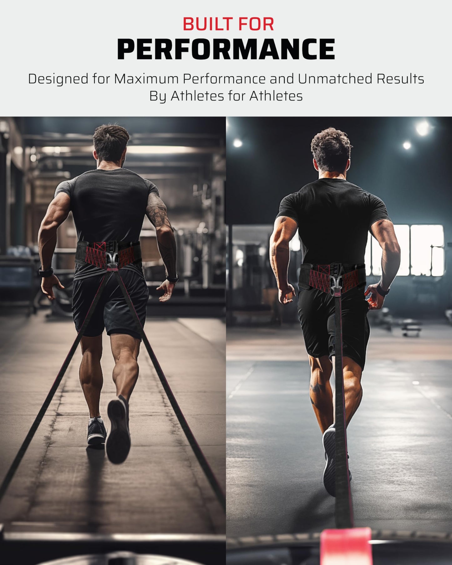 THEFITGUY Sled Pulling Belt, Adjustable Closure, 2 Straps & 4 Hooks - for Multidirectional Resistance Training, Strength and Agility
