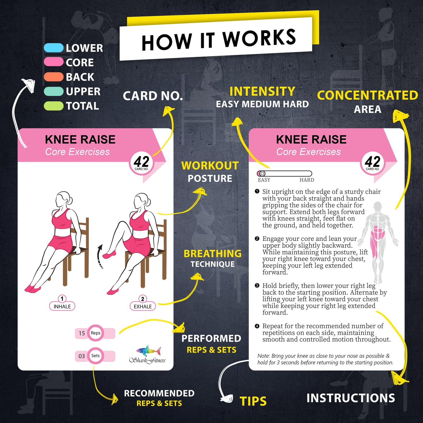 Flexies Chair Yoga Workout Cards – 58 Seated Exercise Cards for Beginners & Seniors | 28 Day Chair Workout Chart for Weight Loss, Strength, Flexibility & Balance