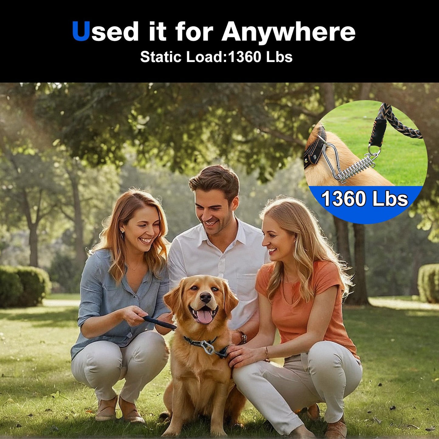 304 Stainless Steel Carabiner Clips, 【NO Rust】 1360lbs Heavy Duty Carabiners, 2.36 inch D-Ring Snap Hook Keychain Spring Clips for Gym, Pet leashes (8PCS 304 Stainless Steel Clips)