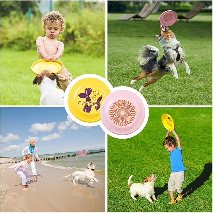 Wham-O Frisbee Fastback Flying Disc, 9.35 Inch Dog-Friendly Lightweight Sports Disc Toy for Outdoor Beach Backyard Games,Team Sports and Family Fun - 100g