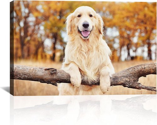Custom Canvas Prints - Personalized Photo Wall Art for Family, Pets & Couples | 18x12