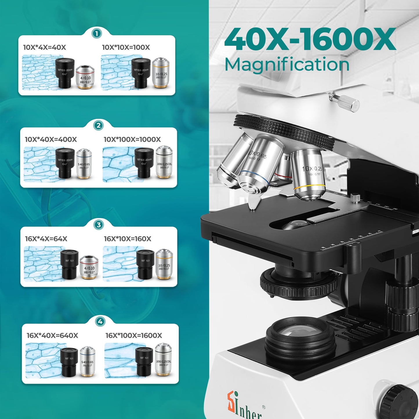 Sinher XSZ-2108A Professional lab Compound Binocular microscopes 40X-2000X Magnification for Kids Students Adults School Lab Home Education with Microscope Slides Set.