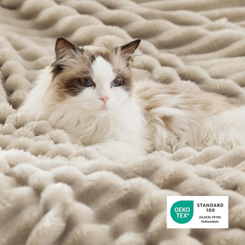 Bedsure Sherpa Throw Blanket - Super Soft Cozy Fleece for Winter | Plush Fluffy Gift, Beige 50x60 Inches