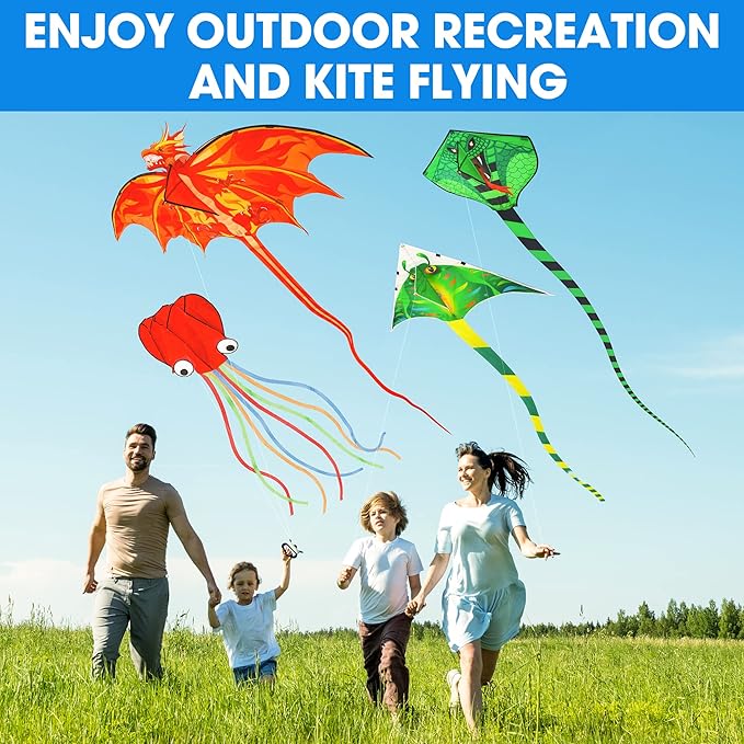 Large Kites for Adults Kites for Kids Ages 4-8， 8-12 Beach Park Outdoor Game Activities, Gifts for Easter and Festival