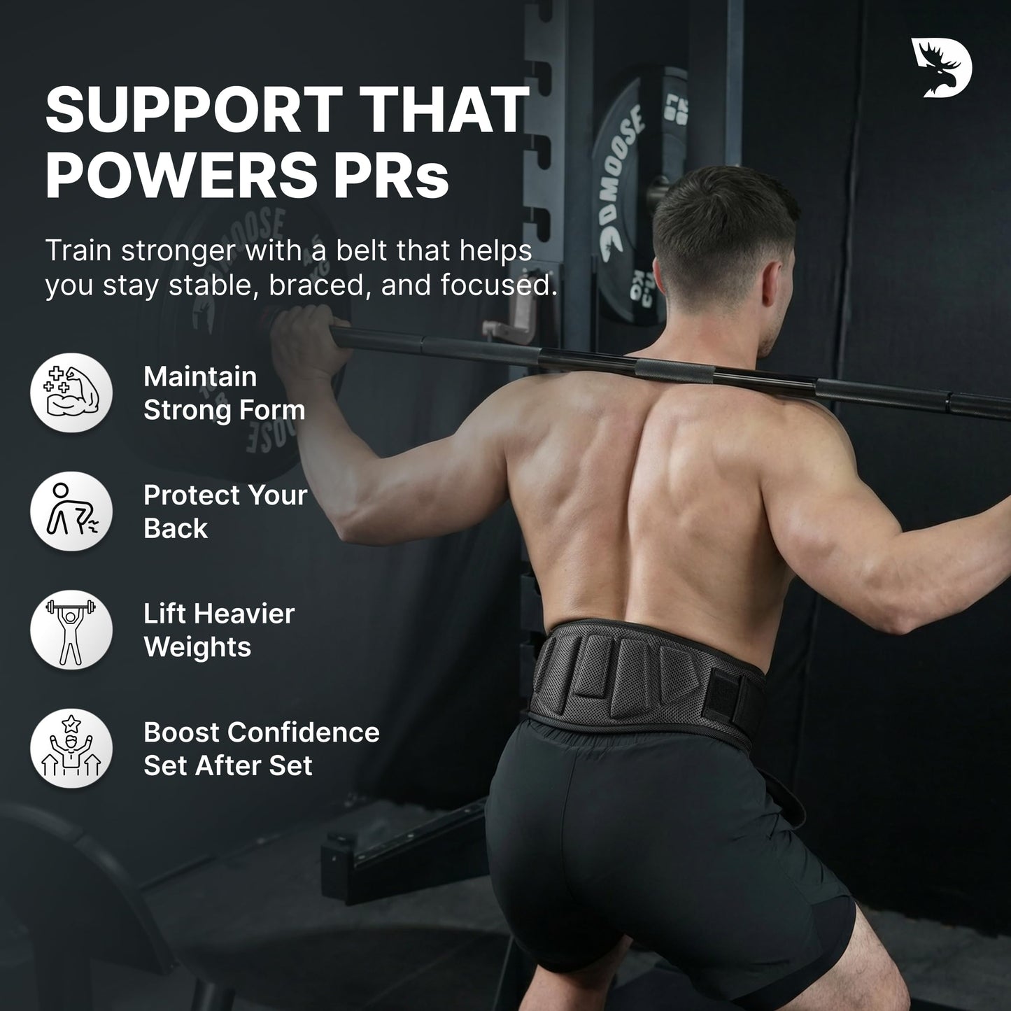 DMoose Fitness Weight Lifting Belt for Squats, Deadlift & Intense Workout - 6" Adjustable Fit Auto Lock Weightlifting Belt for Men & Women - Neoprene Gym Belts for Stability (Black 2.0)