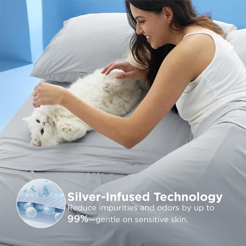 Bedsure Silver Infused Bed Sheets - Cooling Sheets for Hot Sleepers | Ultra Soft Queen Set, Light Grey, 4 Pieces