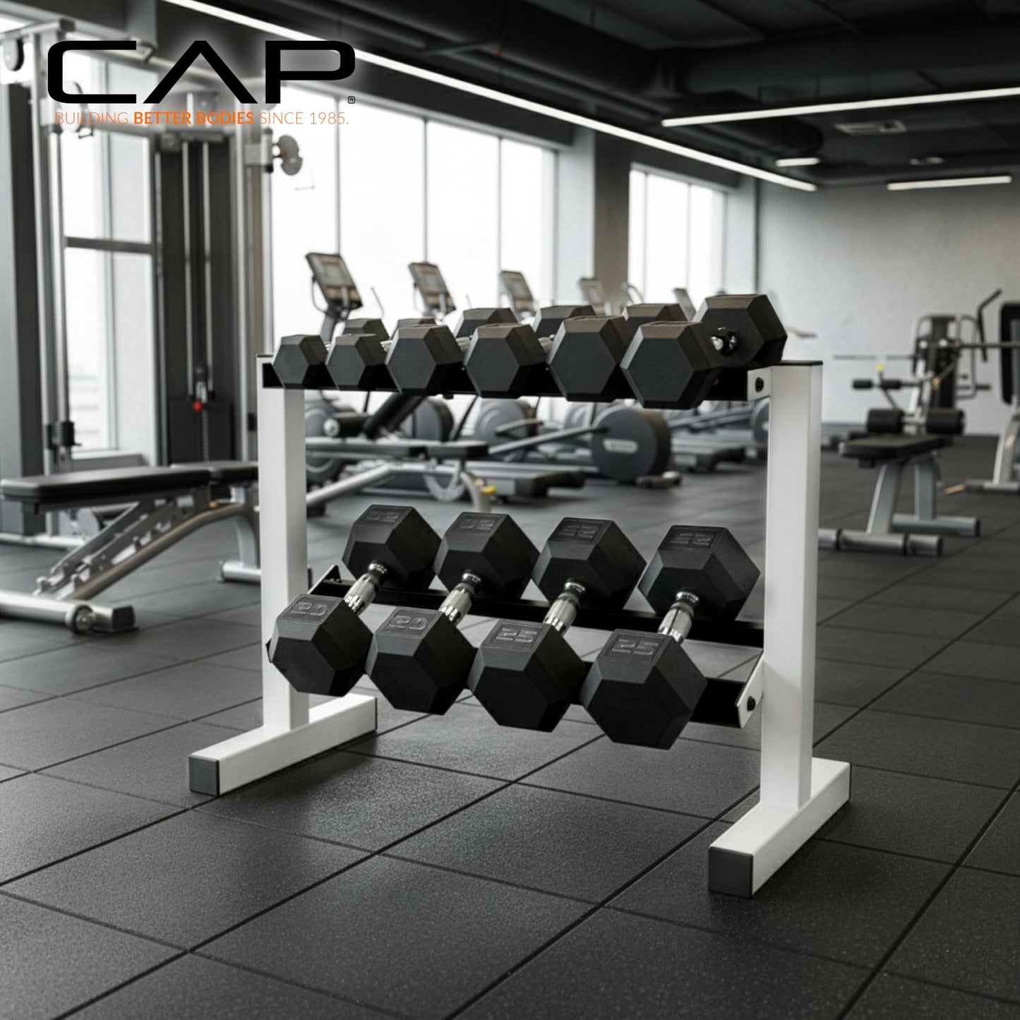 CAP White 24-Inch Dumbbell Storage Rack for Home Gym, 2-Tier Heavy-Duty Steel Weight Rack for Hex Dumbbells, Holds 5lb - 25lb Pairs