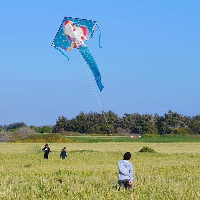 Xida Kites for Kids Ages 4-8, Large Kite for Adults, Easy to Fly Beach Kites with Handle and String,Perfect for Beginners,Beach,and Outdoor Flying Fun